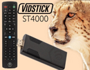 BuzzTv ST4000 (VIDSTICK)